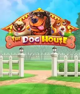 Pragmatic Play's The Dog House Slot, bringing you an adorable adventure through lovable dogs. Discover features including multipliers, perfect for providing entertaining gameplay. A must-try for animal enthusiasts a cheerful theme and the opportunity to win big.